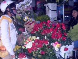 Hoa tươi, quà tặng “nhảy” giá đón Valentine