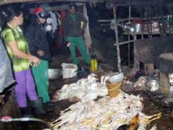 Sau khi được giết mổ xong, gia cầm được gia chủ tăng thêm trọng lượng bằng bơm nước lã, độn rau câu. Ảnh: Huyền Nga