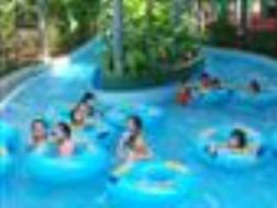 DSN: Thông qua mức cổ tức 52% năm 2011