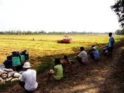 “Cháy” phương tiện thu hoạch lúa 
