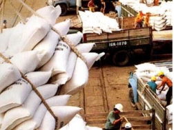 Nhóm hàng nông sản xuất khẩu gặp khó