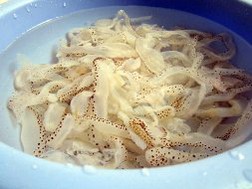 Ngư dân Nghệ An trúng mùa khai thác sứa biển
