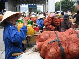 Làm sao để hàng sang Trung Quốc thoát ép giá?