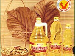 TAC: Quý I lãi 15,6 tỷ đồng nhờ giảm mạnh chi phí