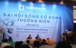 ĐHCĐ Habubank: 85,21% đồng ý sáp nhập vào SHB (update video)