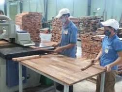TTF: Quý I/2012 LNST đạt 2,09 tỷ đồng, giảm 60,3% so với cùng kỳ