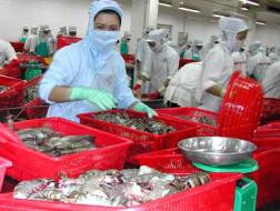 TS4: Bán căn hộ không thuận lợi, lãi quý I vỏn vẹn 2,38 tỷ đồng