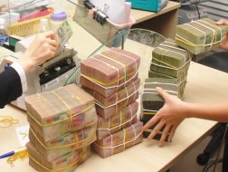 “Giải cứu” doanh nghiệp: Nhà nước muốn vậy, còn thị trường thì sao?