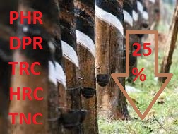 Hết được hưởng lợi tăng giá, DN cao su tự nhiên sụt giảm lợi nhuận gần 25% so với cùng kỳ