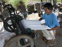 Thái Lan chính thức can thiệp vào thị trường quốc tế để đẩy tăng giá cao su