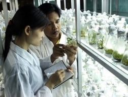 Chính phủ hỗ trợ phát triển cho doanh nghiệp KHCN