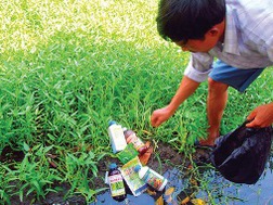 Thuốc bảo vệ thực vật chủ yếu của nước ngoài