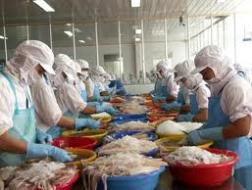 ICF: Quý I/2012 lãi 385 triệu đồng