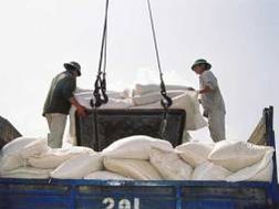 Khống chế dưới 100 đầu mối xuất khẩu gạo