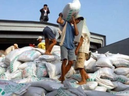 Ngành phân bón trong nước... kêu cứu 