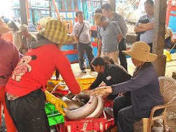 Bốn thương lái Trung Quốc hoạt động trong thời gian dài tại khu vực cửa khẩu biển An Phú và thuê nhà ở trọ tại xã Nghĩa An nhưng chính quyền địa phương không hay biết