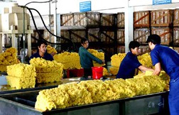 Cổ phiếu cao su an toàn, nhưng đừng quá kỳ vọng