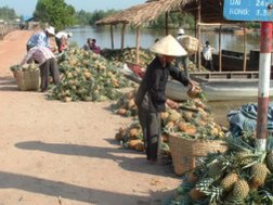 Tiểu thương Trung Quốc: Mánh cũ sao lừa đâu cũng thắng? 