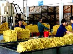 Giá cao su xuất sang Trung Quốc tăng trở lại sau 10 ngày giảm mạnh