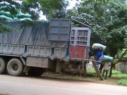 Dây gai được thu gom, chuyển lên xe trước khi bán sang Trung Quốc (ảnh N.T.T)