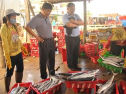 Thương lái Trung Quốc ra tận cảng cá xem hàng - Ảnh Người lao động