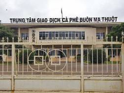 Trung tâm giao dịch càphê Buôn Ma Thuột: Có sân nhưng thiếu cầu thủ!