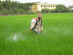 Phân tích cạnh tranh trong ngành thuốc Bảo vệ thực vật