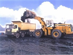 BMC: 6 tháng ước đạt 242 tỷ đồng doanh thu