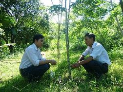 Ông Đinh Minh Dân (phải) là người đăng ký mua cây giống sưa đỏ nhiều nhất ở xã Xuân Hóa