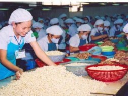 Ấn Độ muốn nhập nhiều nông lâm sản Việt Nam