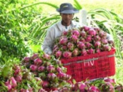 Ảnh minh họa (nguồn: internet)