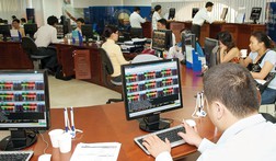 “Khẩu vị” mới của NĐT ngoại