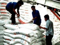 Xuất khẩu gạo của Việt Nam gặp khó khăn, đối tác lợi dụng để "đè" giá gạo. Ảnh:TL.