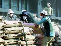 Năm nay, tiêu thụ thép, xi măng giảm mạnh