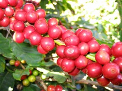 Thấy gì từ Top 5 tỉnh thành xuất/nhập siêu cao nhất quý I/2013