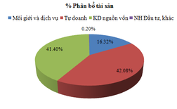 SSI mẹ: Quý II lãi sau thuế 51 tỷ đồng, giảm 57% so với cùng kỳ