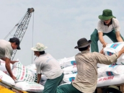 Không còn "sốt" giá phân bón trong vụ Hè Thu 2013