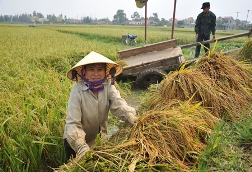 Có tiếng nhưng chưa có miếng