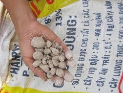 Nhiều quy định sản xuất kinh doanh phân bón vô lý vẫn tồn tại