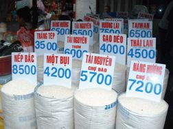 Ảnh minh họa (Nguồn internet)