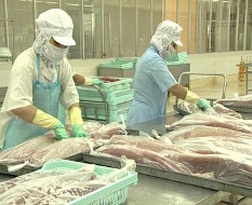 Nâng cao chất lượng để tăng xuất khẩu cá ngừ