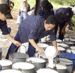 Thu mua 6.000 tấn mủ cao su ở tỉnh Bình Dương