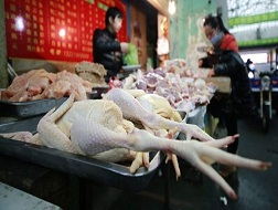 Trung Quốc tẩy chay thịt gà