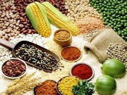 Xuất khẩu nông sản quý II sẽ khả quan hơn