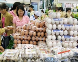 Giá trứng gia cầm lại tăng