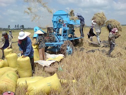 Gạo và thủy sản Kiên Giang tìm đường vào Pháp 