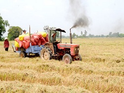 Tìm cách thoát &ldquo;vòng kim cô&rdquo;