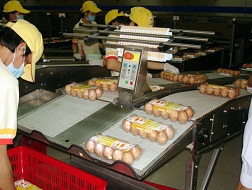 Thổi giá trứng... đúng luật!