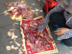 Sôi nổi bán-mua ở chợ "ruồi bu, kiến đậu" Hà Nội