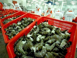 Bảo vệ hàng nội địa bằng thuế nhập khẩu &ndash; tại sao không?